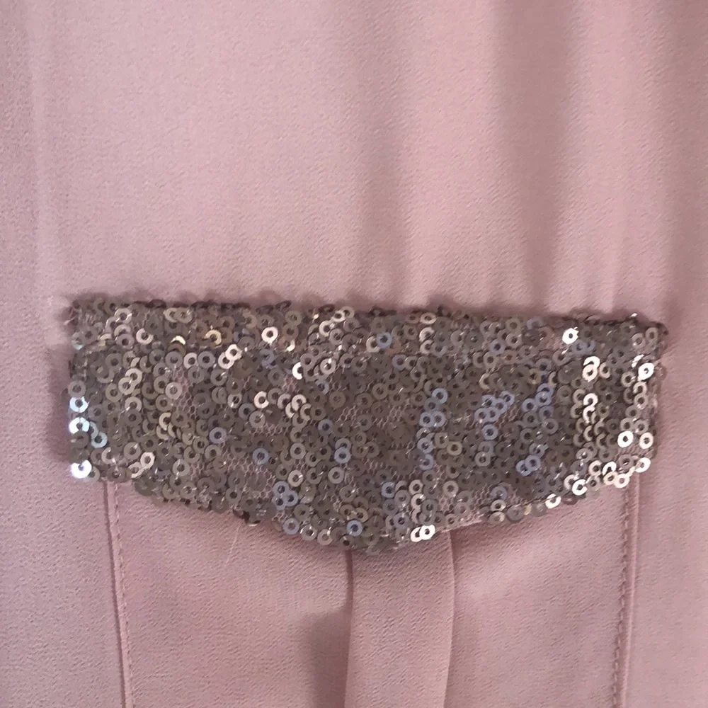 Blu Pepper Sheer Glitter Blouse - Picture 6 of 9